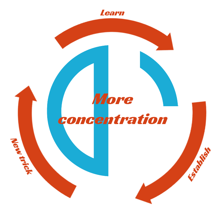 Diabolesson's diabolo philosophy consists of the cycle of finding a new diabolo trick, learning it, and finally solidifying it to improve one's concentration.